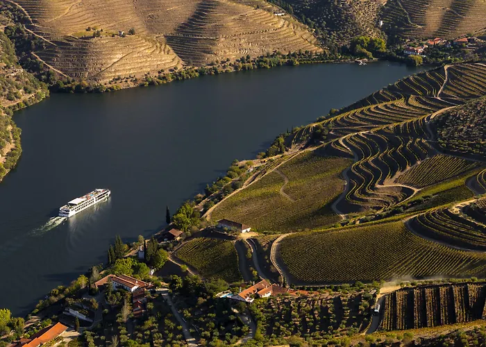 Bed and Breakfast Casa Camélia à OOporto